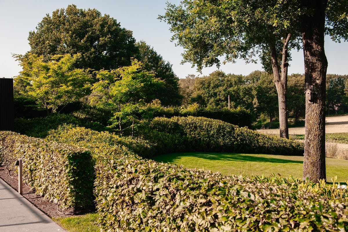 Landschappelijke tuin Veluwe