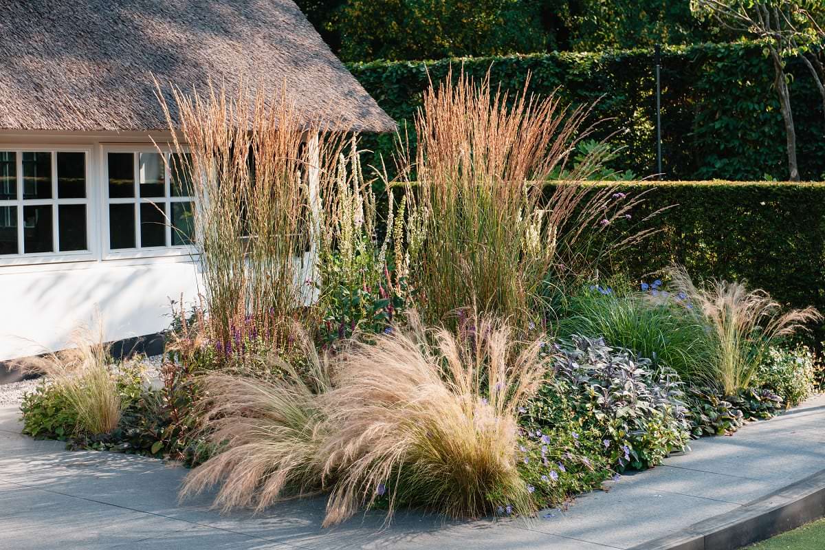 Landschappelijke tuin Veluwe