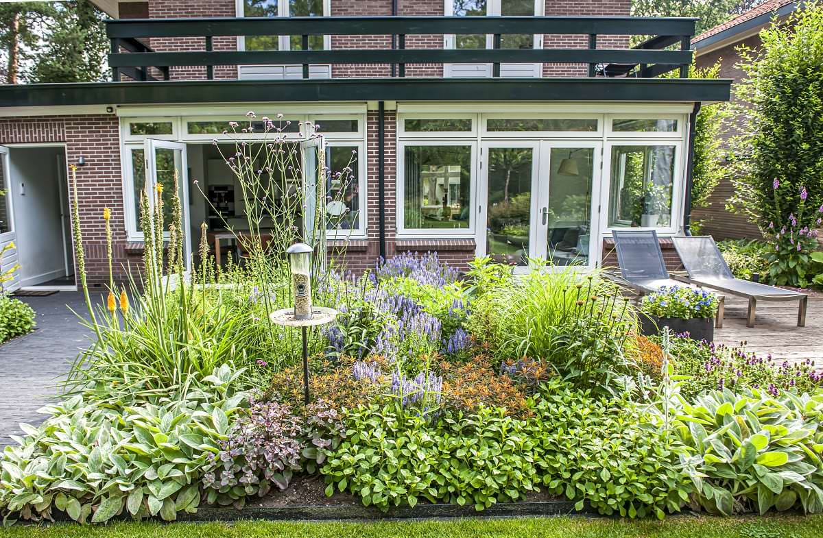 Moderne tuin Apeldoorn