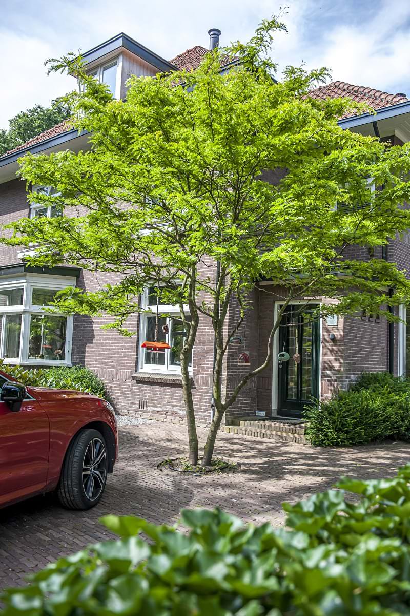 Moderne tuin Apeldoorn