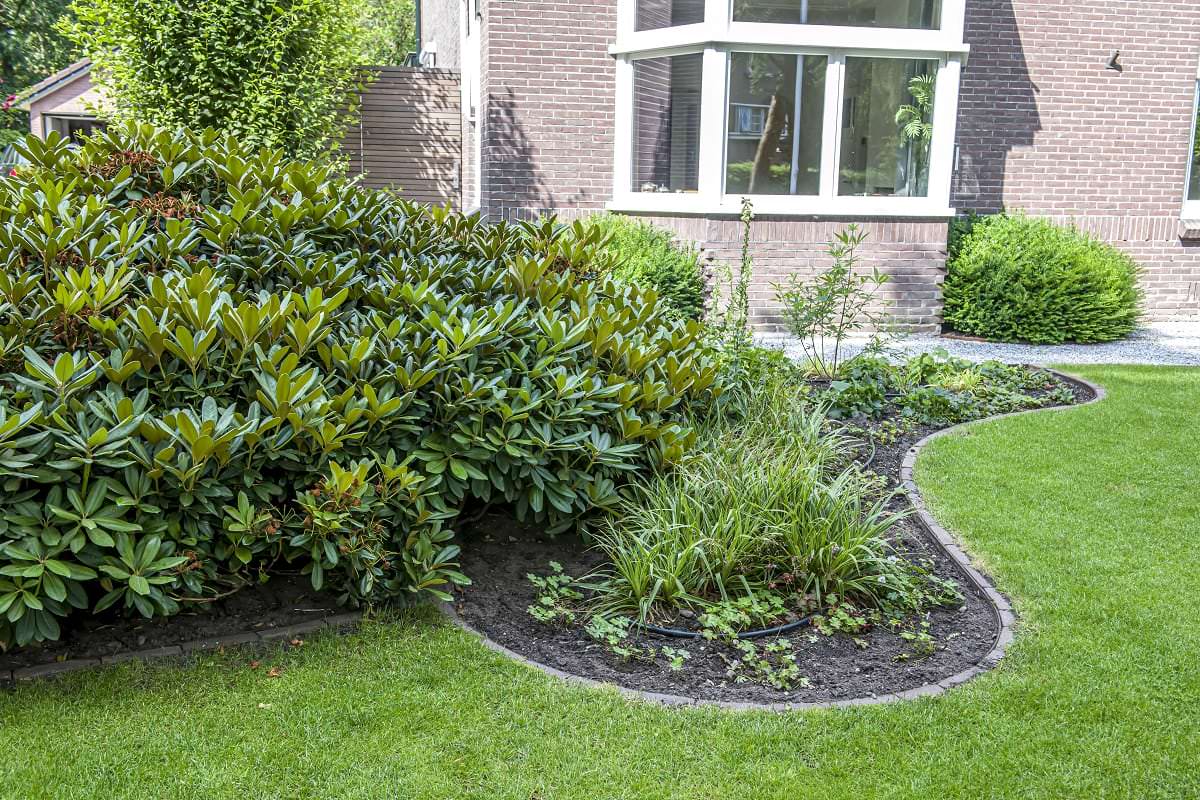 Moderne tuin Apeldoorn